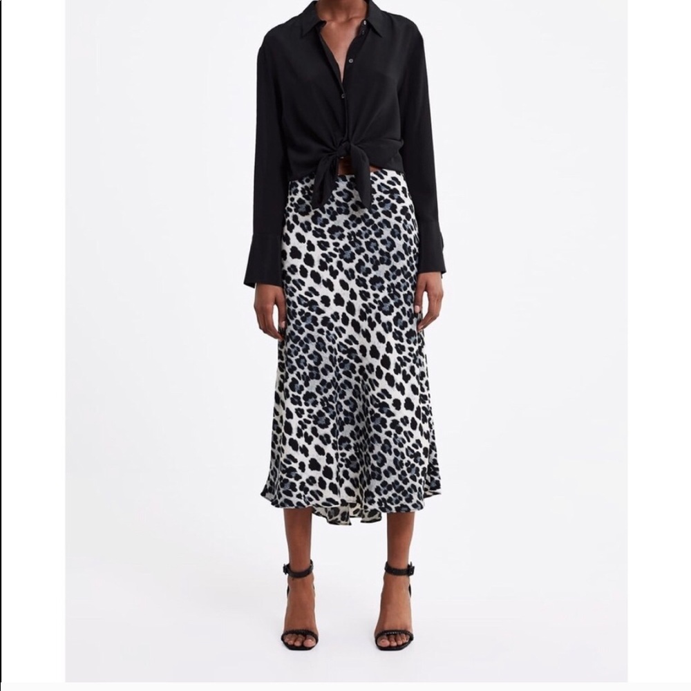 Zara skirt